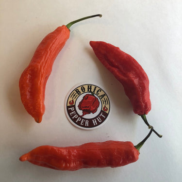 Jalapeno Ghostly - Seeds - The Pepper Pantry (Formerly Marie Sharp's)